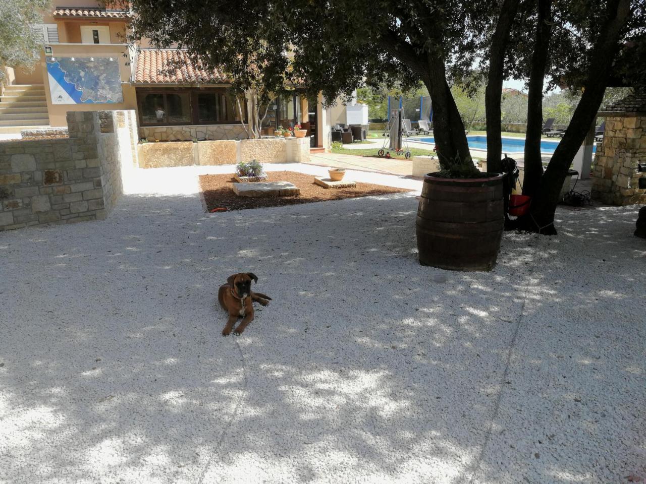 Guesthouse "Barboska" - Big Outdoor Swimming Pool & Private Tennis Court Vodnjan Bagian luar foto